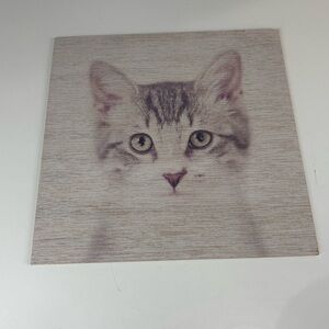 Cat art Print on plywood 12x12(sold individually)